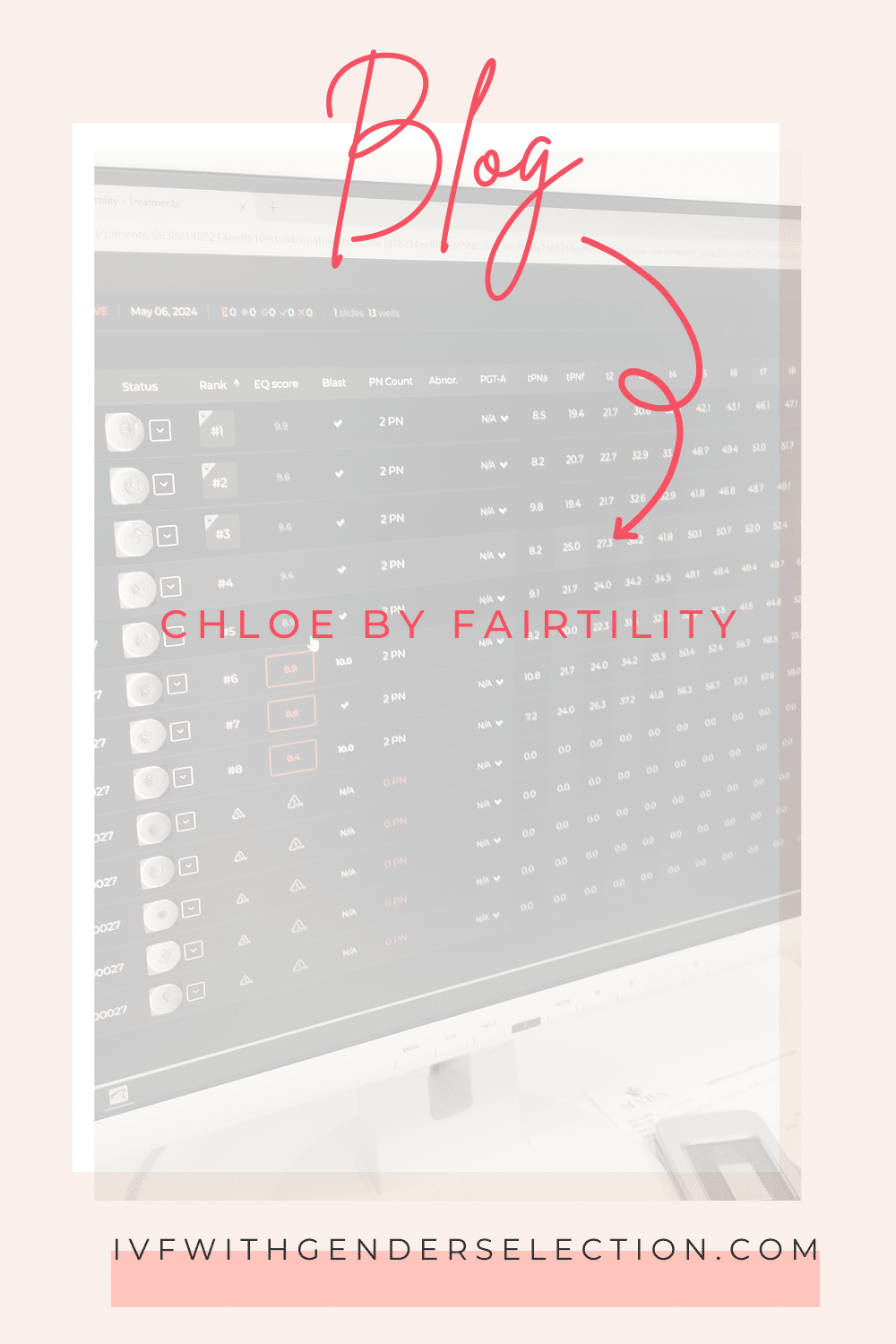 CHLOE by Fairtility