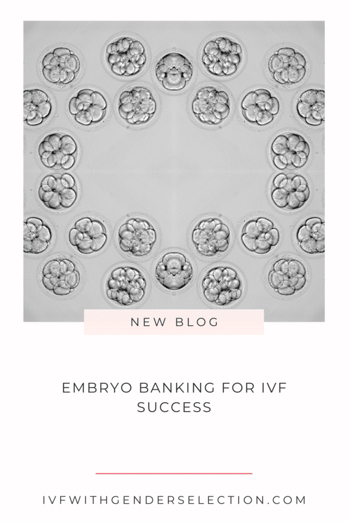 Embryo Banking for IVF Success