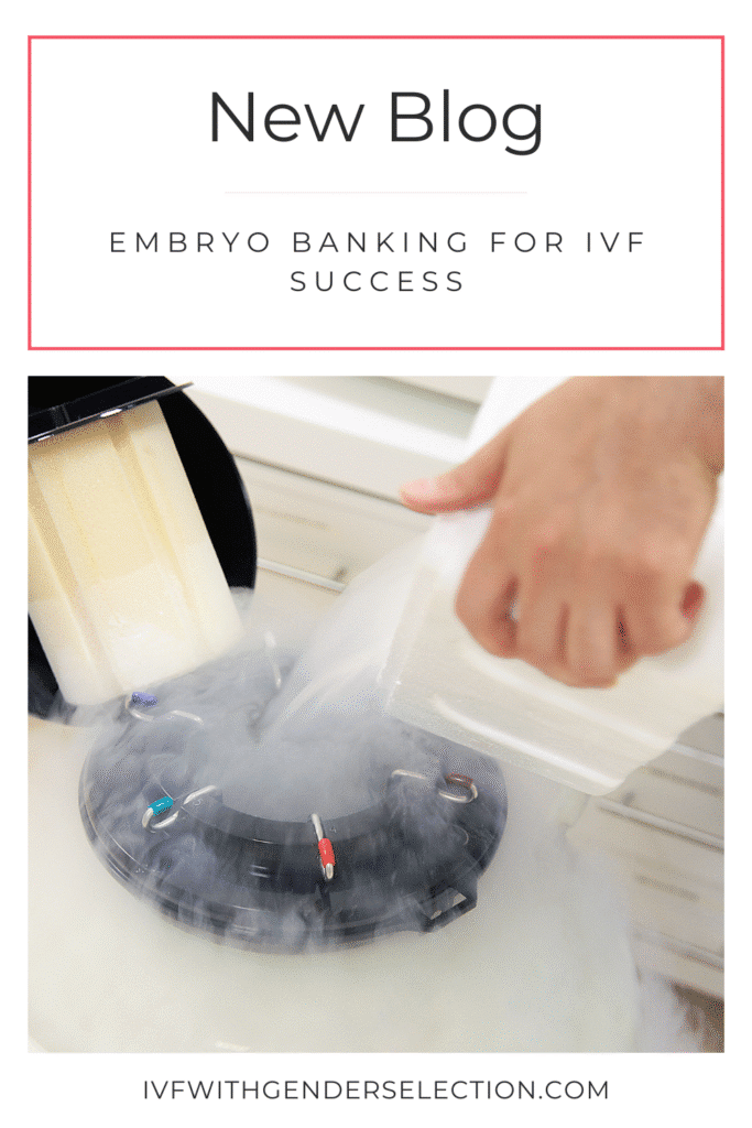 Embryo Banking for IVF Success