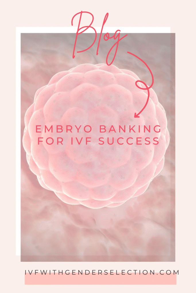 Embryo Banking for IVF Success
