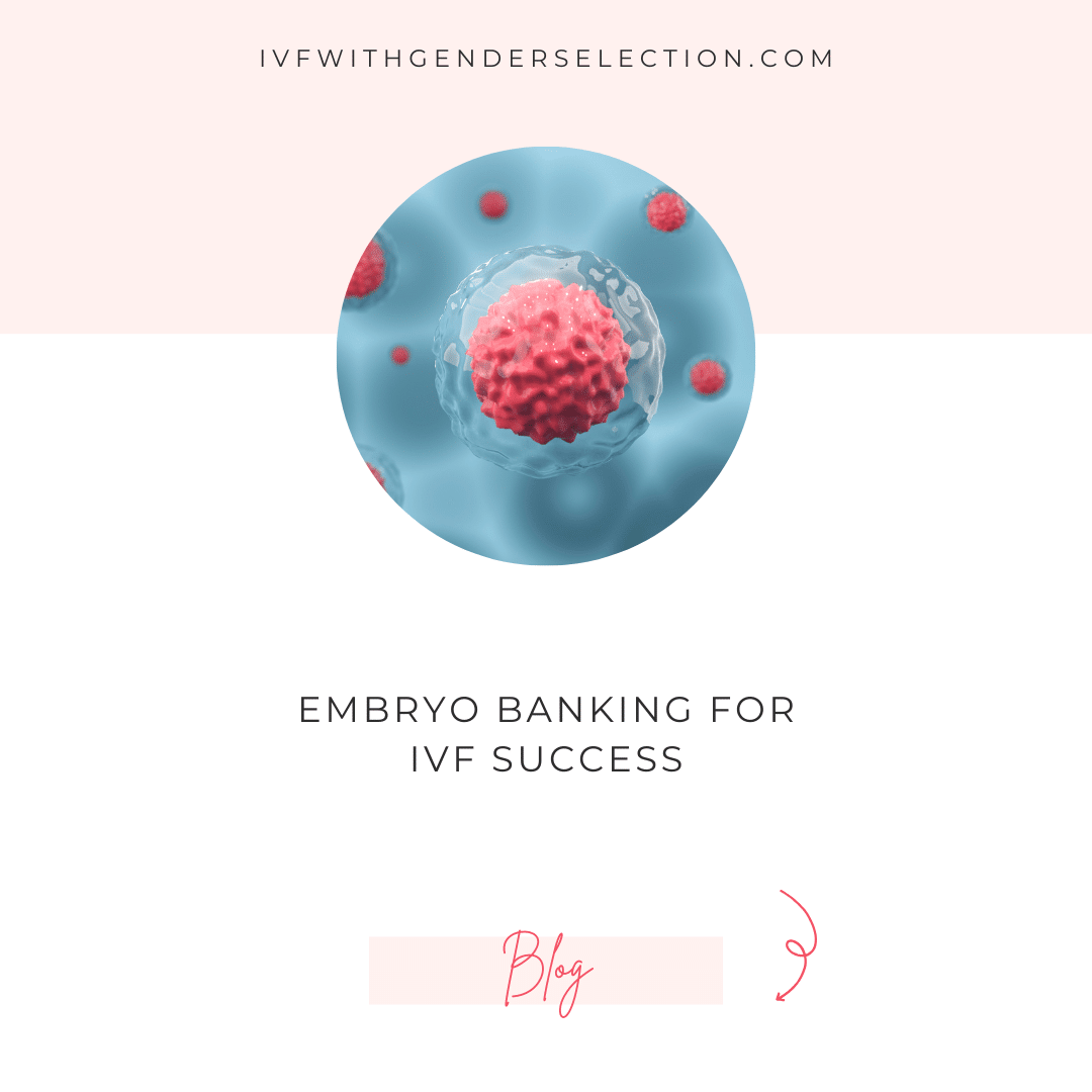 Embryo Banking for IVF Success