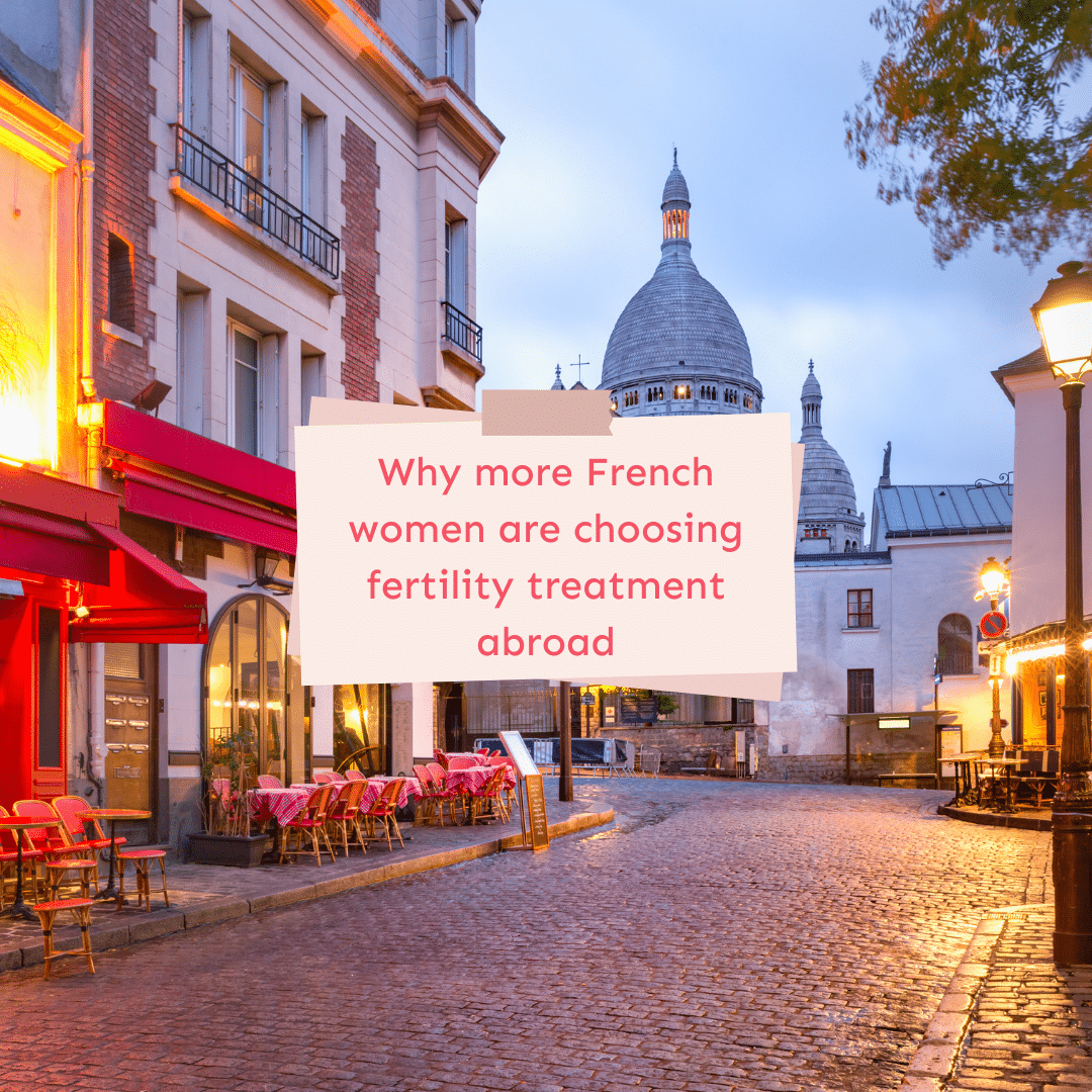 IVF in France